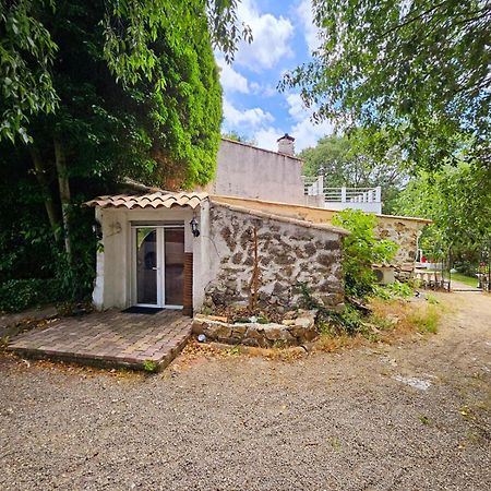 Suites Coupo Santo Et Lou Peiro Cotignac Eksteriør bilde
